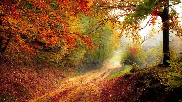 Jak zachować dobry nastrój jesienią?